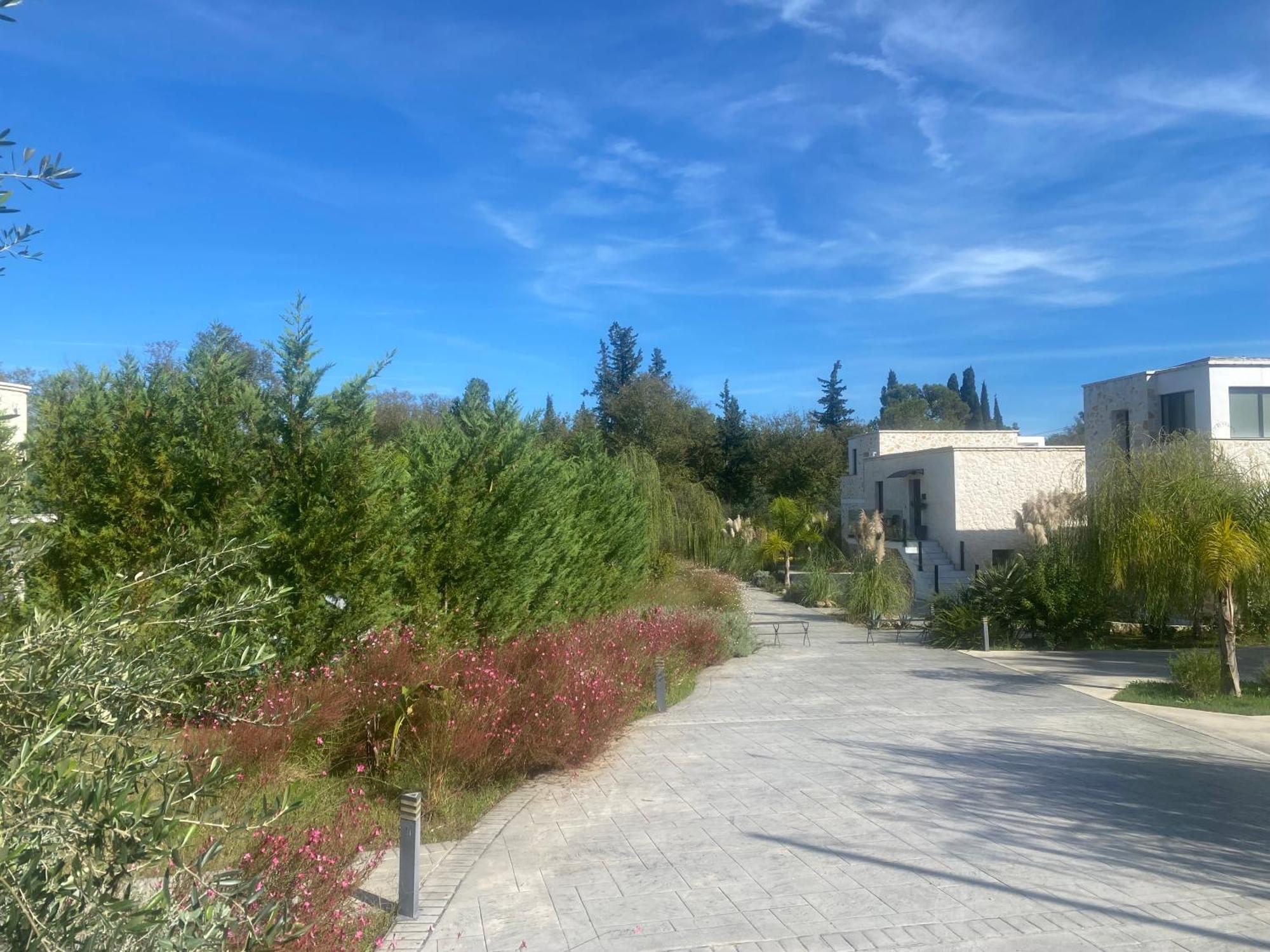 Rans Luxury Villas & Suites In Corfu With Swimming Pool جوفيا المظهر الخارجي الصورة